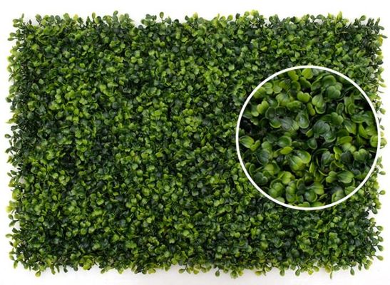 الصين نبتة العنب الخضراء النباتات الصناعية ، التحجيم الاصطناعي الجدار مصنع